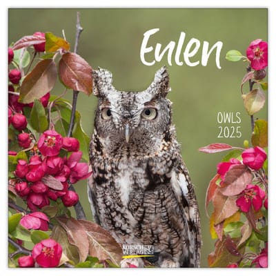 Uilen Kalender 2025