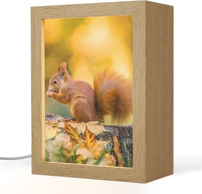 Tafellamp 15x20 cm - LED lamp - Eekhoorn - Herfst - Bosdieren - Herfstbladeren - Bos - Decoratieve tafellampen - Dimbaar - Tafellampje slaapkamer - Woonkamer binnen
