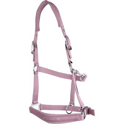 Halster voor paarden USG Shiny