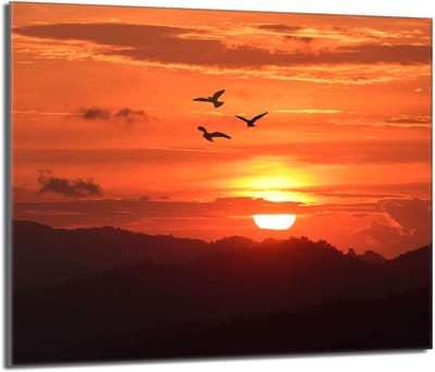 TMK ArtDeko - Keukenbeschermer van Gehuld Glas - 60x52 - Zon