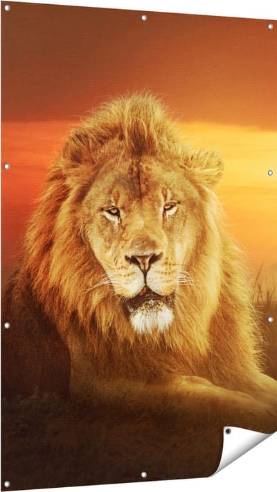 Gards Tuinposter Leeuw in de Savanne - Zonsondergang - 100x150 cm - Tuindoek - Tuindecoratie - Wanddecoratie buiten - Tuinschilderij