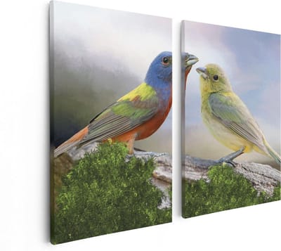 Artaza Canvas Schilderij Tweeluik Getekende Gorzen Vogels - Kleur - Abstract - 80x60 - Foto Op Canvas - Canvas Print