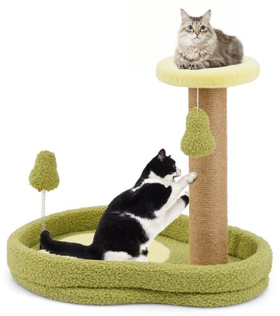 COSTWAY Krabpaal klein, 50 cm hoog, kattenboom in avocado-look, kattenkrabpaal met kattenbed, veerspeelgoed, sisal-krabpaal, kattenmeubel, klimboom, activiteitsboom, speelboom