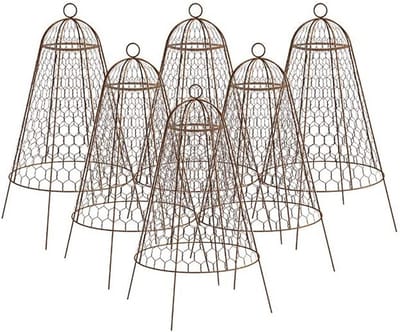 Set van 6 Anti-Dier Beschermkoepels voor Tuinplanten - Draadkoepels 50 cm Hoog