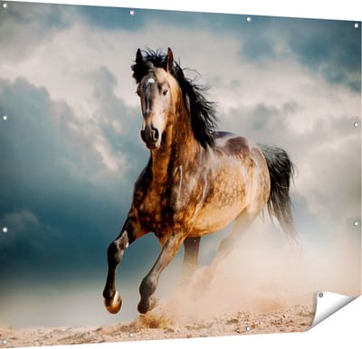 Gards Tuinposter Wilde Paard in het Zand - 150x120 cm - Tuindoek - Tuindecoratie - Wanddecoratie buiten - Tuinschilderij