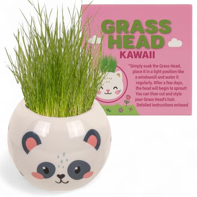 Dailygoods- Plantenset Dierfiguren - Graskop met Aarde en Graszaad - Kunststof Pot 6,5 cm - Doe-Het-Zelf Decoratie - Voor Kinderen en Volwassenen - Kweekset