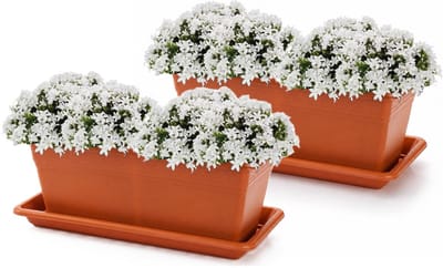 Plasticforte Plantenbakken met water opvangschotels - terracotta - 2x stuks - 40 x 18 x 15 cm - tuin - balkon - terras - rechthoek
