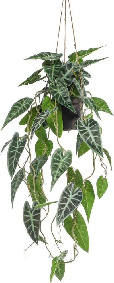 Emerald - Kunst Hangplant in pot Alocasia 80cm - Kunstplant voor binnen
