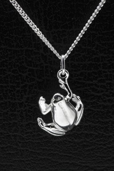 Zilveren Kikker ketting hanger
