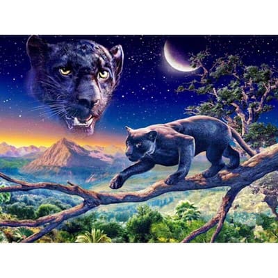 Diamant borduurwerk nacht panter 5d diamant schilderij volledige ronde steentjes 20X30CM gray