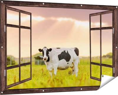 Gards Tuinposter Doorkijk Zwart Wit Koe in de Wei bij Zonsopkomst - 150x100 cm - Tuindoek - Tuindecoratie - Wanddecoratie buiten - Tuinschilderij