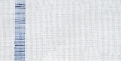 ARA Acrylverf 250 ML A2 Zinc White