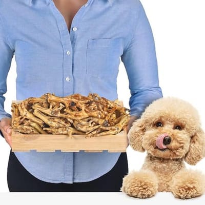 Kippenpoten voor honden - Gezonde honden snack voor grote honden