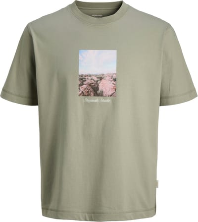 JACK&JONES - JORNORREBRO PHOTO TEE SS CREW NECK LN - Heren - T-shirts