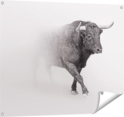Gards Tuinposter Stier op een Grijze Achtergrond - Zwart Wit - 100x80 cm - Tuindoek - Tuindecoratie - Wanddecoratie buiten - Tuinschilderij