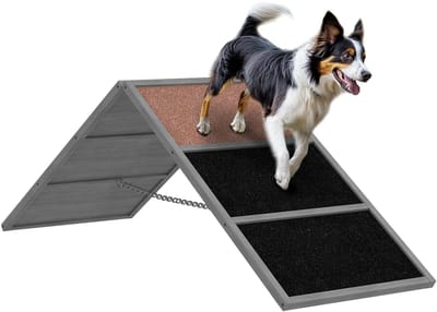 Dog Ramp - behendigheidstrainingshelling voor honden - met antislipoppervlak - A-vormig - in hoogte verstelbaar - draagvermogen tot 40 kg - geschikt voor in de tuin - afmetingen 173 x 59 x 66 cm - grijs