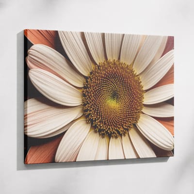 Saammp Muurcirkel Hout -Vlinder op witte bloem - Dieren - Natuur - Ø 80 - Wandcirkel - Wanddecoratie Cirkel - muurdecoratie Woonkamer - Slaapkamer decoratie - Rond Schilderij
