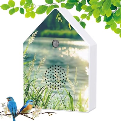 Muziekbox Zingende Vogel - Natuurgeluid Doos - Ontspanning Bevorderen - Met Bewegingssensor - 18 x 12 x 5 cm - Wit