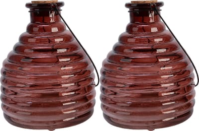 Decoris Wespenvanger/wespenval met hengsel - 2x - glas - D13 x H17 cm