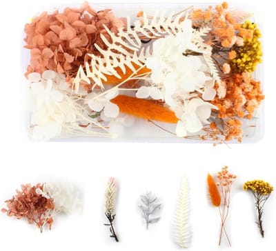 Decoratieve gedroogde bloemen voor hars, kaarsen en bloemstukken - Perfect voor ambacht en scrapbooking