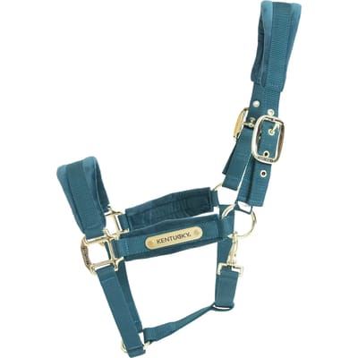 Kentucky Horsewear - Halster Velvet - Roze - Maat Full