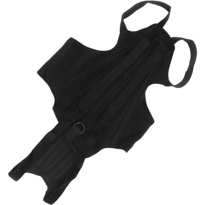 Ceinture dorsale pour chien, récupération après chirurgie de la colonne vertébrale, hernie discale, hernie discale, ceinture dorsale pour animaux de compagnie pour chiens M