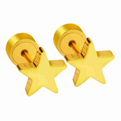 WeLoveSilver - Goudkleurige oorstekers - Ster - Chirurgisch staal - 6 mm