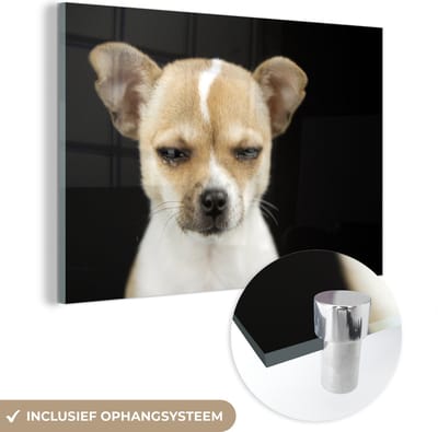 MuchoWow® Glasschilderij 150x100 cm - Schilderij acrylglas - Hond - Huisdieren - Portret - Foto op glas - Schilderijen