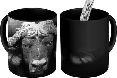 Magische Mok - Foto op Warmte Mokken - Koffiemok - Dieren - Buffalo - Zwart - Wit - Portret - Magic Mok - Beker - 350 ML - Theemok