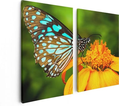 Artaza Canvas Schilderij Tweeluik Blauwe Vlinder Bij Een Oranje Bloem - 80x60 - Foto Op Canvas - Canvas Print