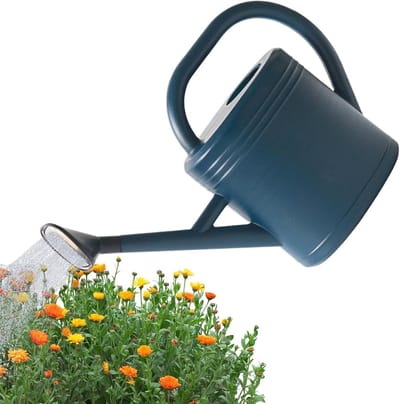 Gieter Lange Uitloop - Waterplanten Bak - Binnen Tuinieren - Draagbare Tuinbenodigdheden - 3 Liter Inhoud - Blauw