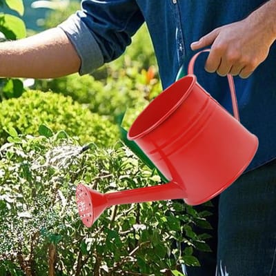 Gieter Kamerplanten - Waterkannetje Metaal - Planten Water Geven - Lange Nauwe Uitloop - 1 Liter - Rood