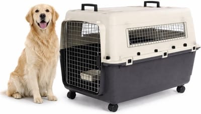 Reisbench hond – Autobench – Transportbox hond – Fomad Donkergrijs XL (60x90x68,5 cm) – Kunststof – Met metalen deur & veiligheidsslot – Inclusief eet- en drinkpot & wielen – Flamingo