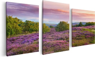 Artaza Canvas Schilderij Drieluik Paarse Weide - 120x60 - Foto Op Canvas - Canvas Print