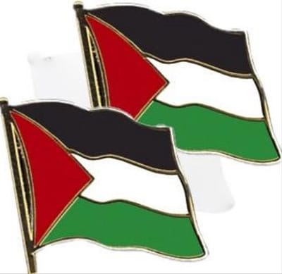 *** 2x stuks pin Vlag Palestina 20 mm - Landen thema artikelen - Free van Heble® ***