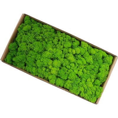 Gepreserveerd Mos Tuinkunst Wanddecoratie Mos Bulk Micro Landschap Decoratieve Requisieten Type 5