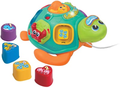 WINFUN Trek de Sort 'N Learn-schildpad mee