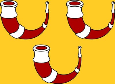 Vlag Kinrooi 100x150cm
