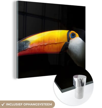 MuchoWow® Glasschilderij 50x50 cm - Schilderij acrylglas - Toekan - Vogel - Snavel - Foto op glas - Schilderijen