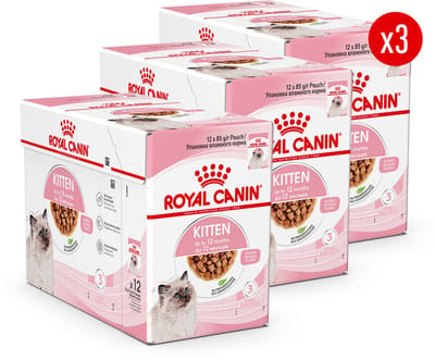 Royal Canin Kitten in Saus - Kattenvoer - 36x85g - Natvoer voor kittens