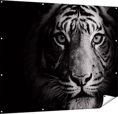Gards Tuinposter Tijgerkop - Tijger - Zwart Wit - 150x120 cm - Tuindoek - Tuindecoratie - Wanddecoratie buiten - Tuinschilderij