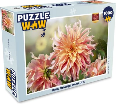 Puzzel Drie oranje dahlia's - Legpuzzel - Puzzel 1000 stukjes volwassenen