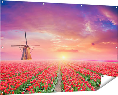 Gards Tuinposter Rode Rozen Bloemenveld met een Windmolen - 150x100 cm - Tuindoek - Tuindecoratie - Wanddecoratie buiten - Tuinschilderij