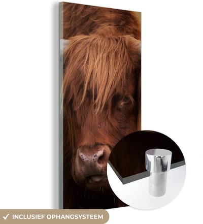 MuchoWow® Glasschilderij 20x40 cm - Schilderij acrylglas - Schotse Hooglander - Oranje - Dieren - Foto op glas - Schilderijen