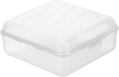 Rotho Fun Lunchbox Vierkant 2.35L Transparant