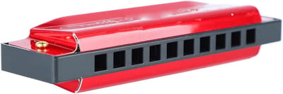 10-gaats Mondharmonica - Klein Instrument Orgel - Muziek Leren Spelen - Compact Handzaam Ontwerp