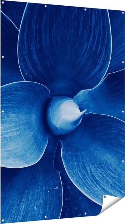 Gards Tuinposter Blauwe Agave Plant - Bloem - 120x180 cm - Tuindoek - Tuindecoratie - Wanddecoratie buiten - Tuinschilderij