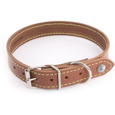 Hondenhalsband Martin Sellier Flash