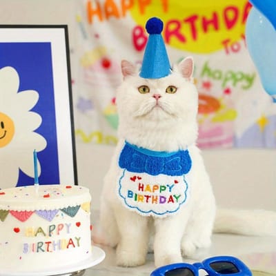Huisdier Verjaardagsfeest Hoedenset Schattige Kat Hond Verjaardag Viering Sjaal Verkleed Kit Kat Pup Kostuums Cadeau Huisdier Accessoires M