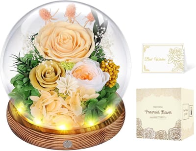 Eeuwige Roos - Glazen Koepel Bloemen - Decoratie Kamer - Met LED Verlichting - 13 x 13 x 13 cm